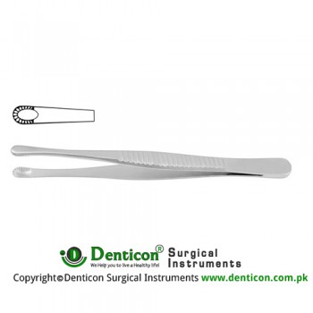 Russian Modell Dissecting Forceps Stainless Steel, 15 cm - 6"